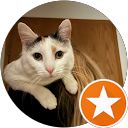 Pascal S. profile picture